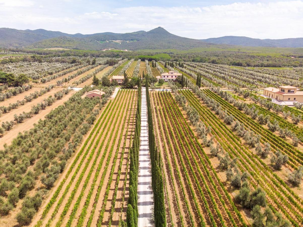 Agriturismo Tra Gli Ulivi, Chiappini Winery بولغيري المظهر الخارجي الصورة