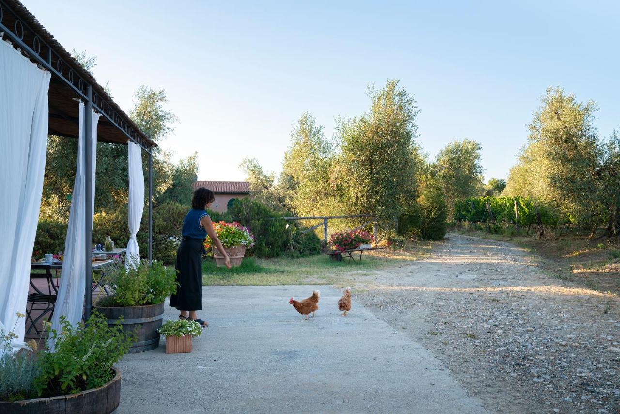 Agriturismo Tra Gli Ulivi, Chiappini Winery بولغيري المظهر الخارجي الصورة
