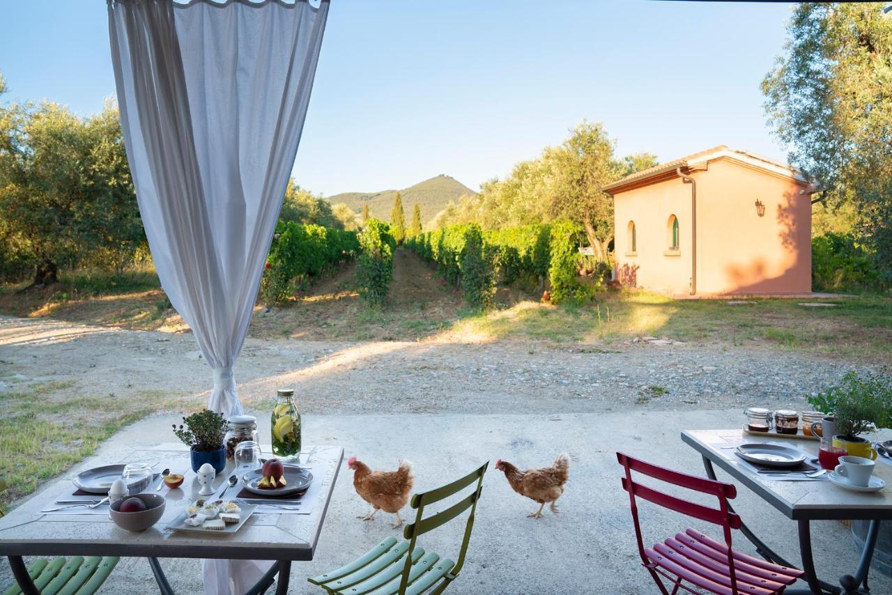 Agriturismo Tra Gli Ulivi, Chiappini Winery بولغيري المظهر الخارجي الصورة