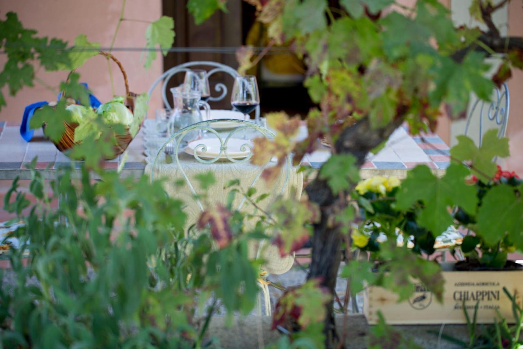 Agriturismo Tra Gli Ulivi, Chiappini Winery بولغيري المظهر الخارجي الصورة