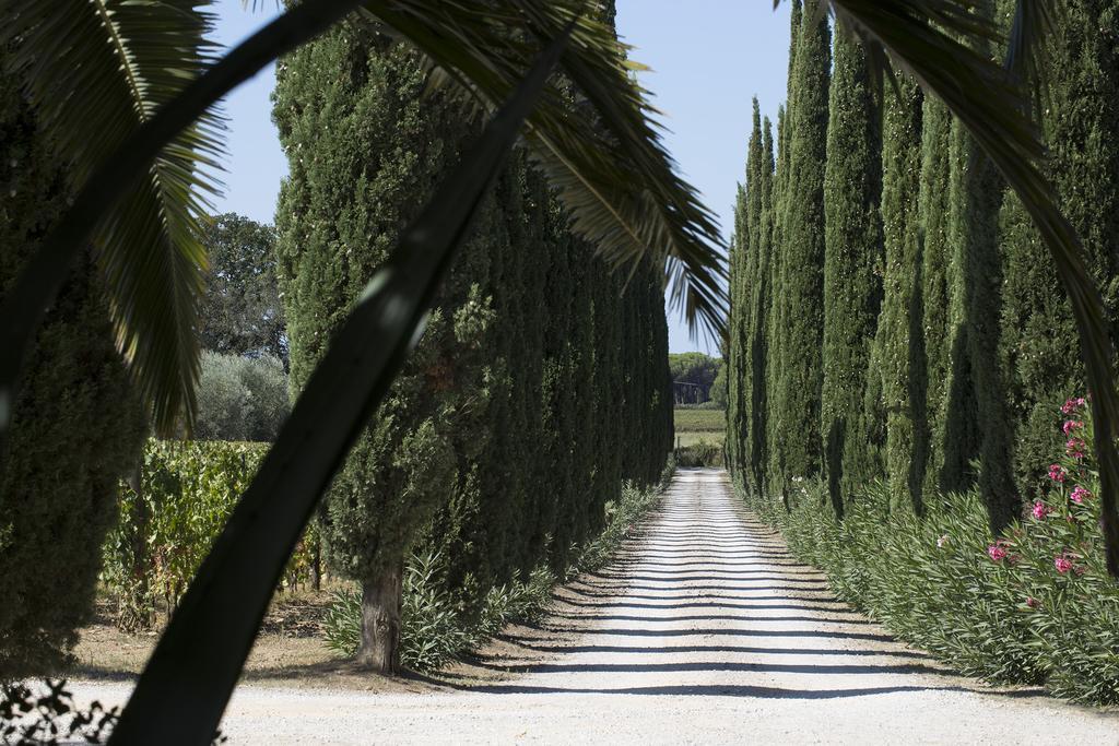 Agriturismo Tra Gli Ulivi, Chiappini Winery بولغيري المظهر الخارجي الصورة