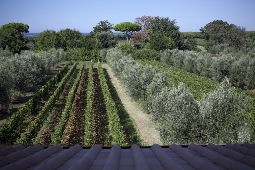 Agriturismo Tra Gli Ulivi, Chiappini Winery بولغيري المظهر الخارجي الصورة