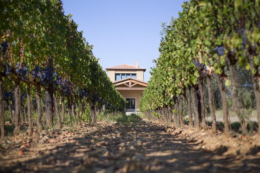 Agriturismo Tra Gli Ulivi, Chiappini Winery بولغيري المظهر الخارجي الصورة